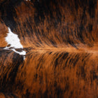 files/9651_c_1082e784-d155-46ec-8bb1-db5db8fde059.jpg