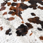 files/9652_d_84045115-013d-4059-8468-ff611ab1f5ef.jpg