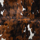 files/9686_c_7e702f55-7f3f-4098-a1b2-96014ee01dd9.jpg