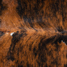 files/9696_c_572dfea8-5878-4771-bea7-1ecd050d45f3.jpg