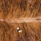 files/9738_b_9a4f1ce3-14ee-4b0c-a773-3a6eedf083ec.jpg