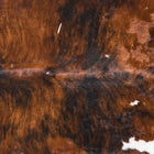 files/9772_b_6a5f555e-acc7-49d0-ae3f-87ce2d711603.jpg