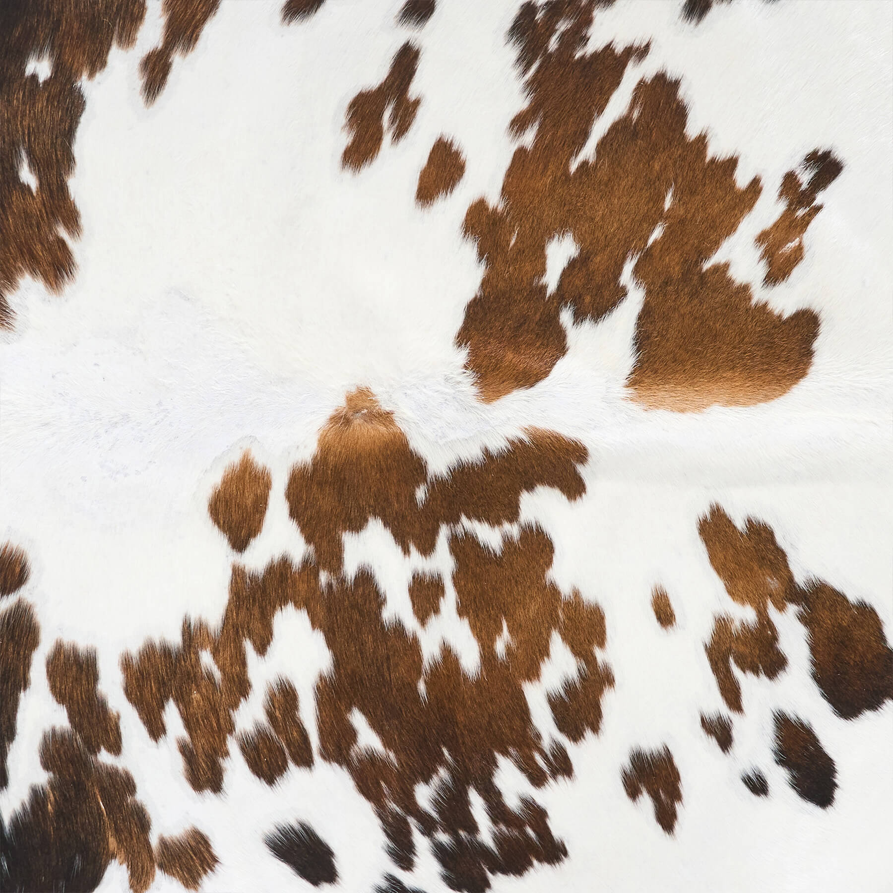 Vintage White Tricolor Cowhide Rug Size 7'5