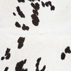 files/9811_c_911861c9-4586-4653-9f7c-e01c2315ffed.jpg