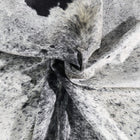 files/9828_b_5db599b0-a5e3-4357-8ab7-22575442a64b.jpg