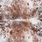 files/9849_c_19f06fef-1cde-4a63-8a28-9bd2a9ab7cc9.jpg