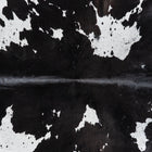 files/9942_b_23189985-2567-45c1-939f-d0b9c419a3dd.jpg