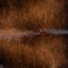 files/9948_b_e6a290eb-a96d-412b-a808-4c340008674f.jpg