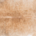 files/9957_b_3f3740f0-5816-47c5-bf4d-27c86e7b11b9.jpg