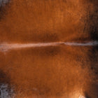 files/9979_b_5da77f54-f9e1-4183-bc52-f6f81659eb4a.jpg