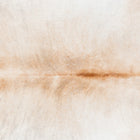 files/9982_b_c71bcfea-dbef-442d-98cc-ae58a769a628.jpg