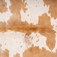 The Different Types of Cowhide: Hair-on Hide, Hair-off Hide, and More ...