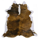 files/Brindle-White-Belly-and-Backbone-XXL.webp