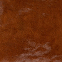 Cowhide Rug Swatch 5|Color:Brown