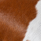 files/Brownandwhite1.jpg