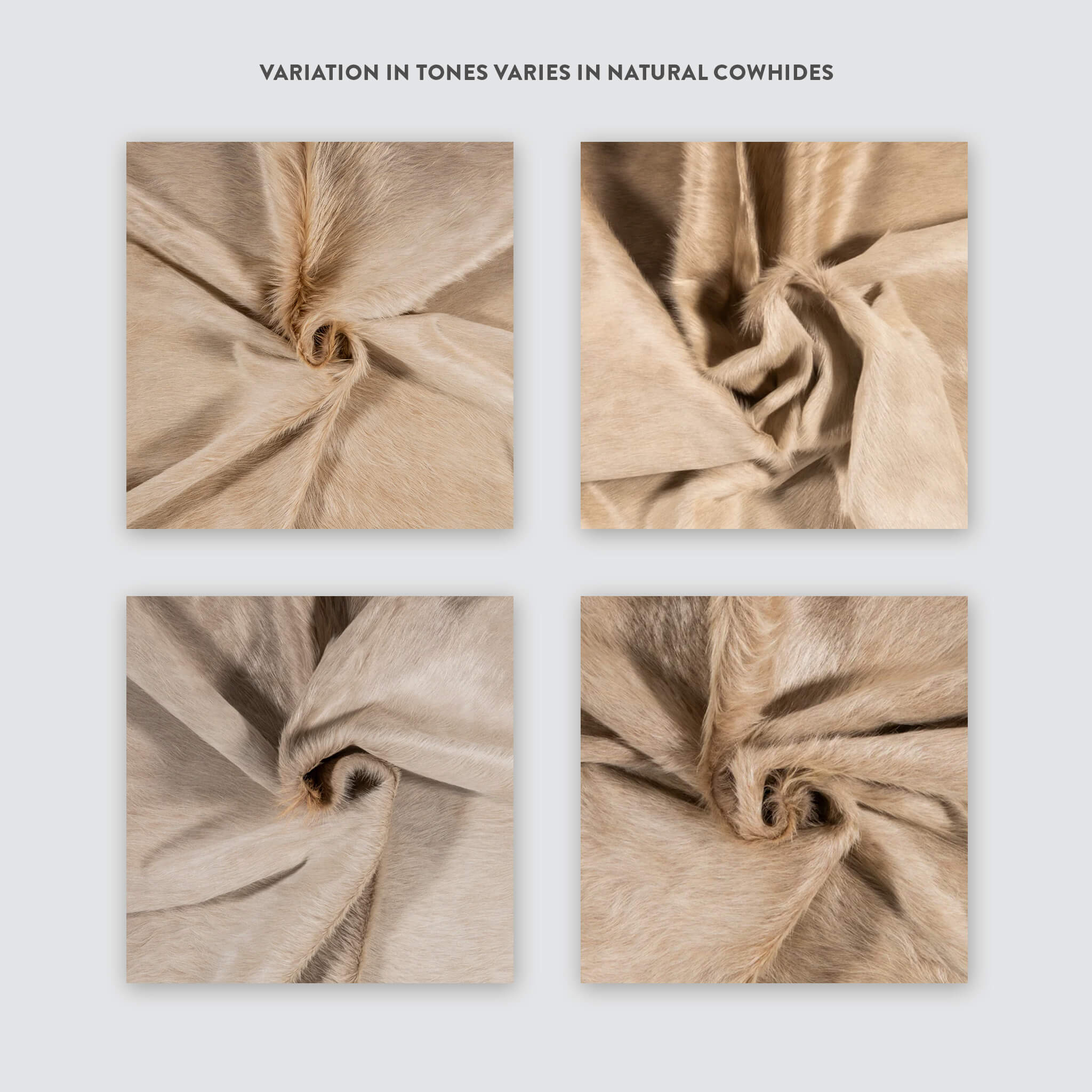 Champagne Brazilian Cowhide Rug: Large , Natural Suede Leather