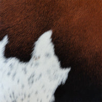 Chocolate and White Swatch