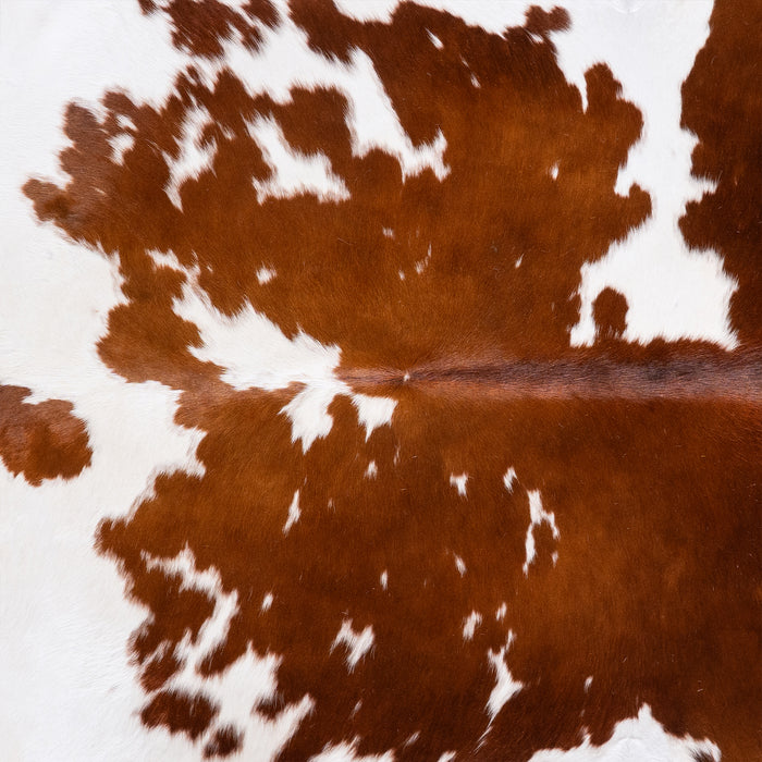 Brazilian Brown and White Cowhide Rug Size 7'2" L x 6'7" W 6007