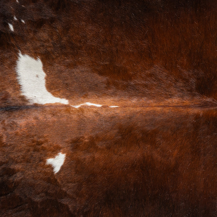 Chocolate and White Cowhide Rug Size 7'2" L x 6'5" W 5402