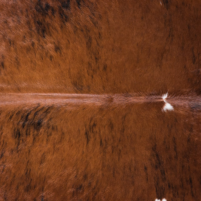 Brazilian Brindle White Belly Cowhide Rug Size 7'5" L x 7'6" W 4506