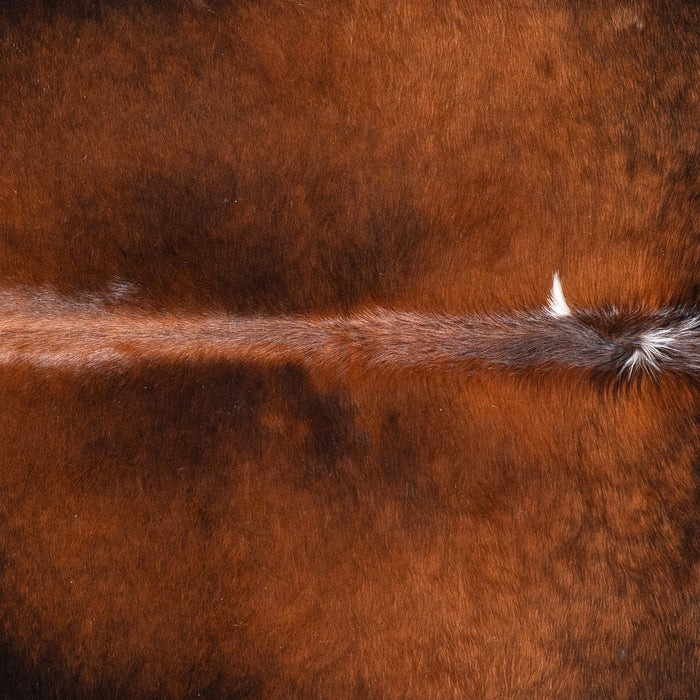 Brazilian Mahogany Cowhide Rug Size 6'6" L x 5'6" W 5813