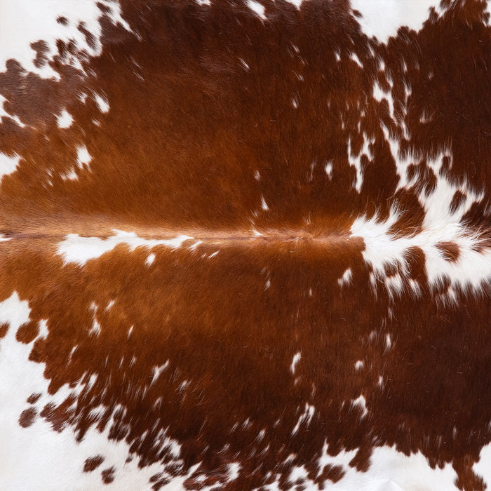 Brazilian Brown and White Cowhide Rug Size 8'2" L x 7'5" W 6018