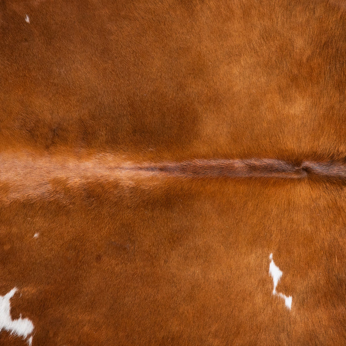 Brazilian Brown and White Cowhide Rug Size 7'10" L x 6'9" W 6019