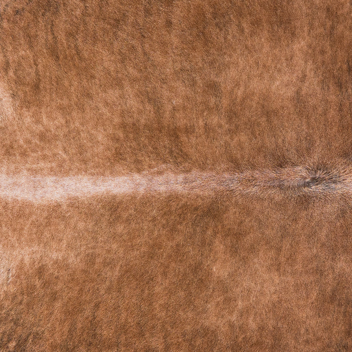 Brazilian Brindle White Belly Cowhide Rug Size 7'10" L x 6'11" W 4517