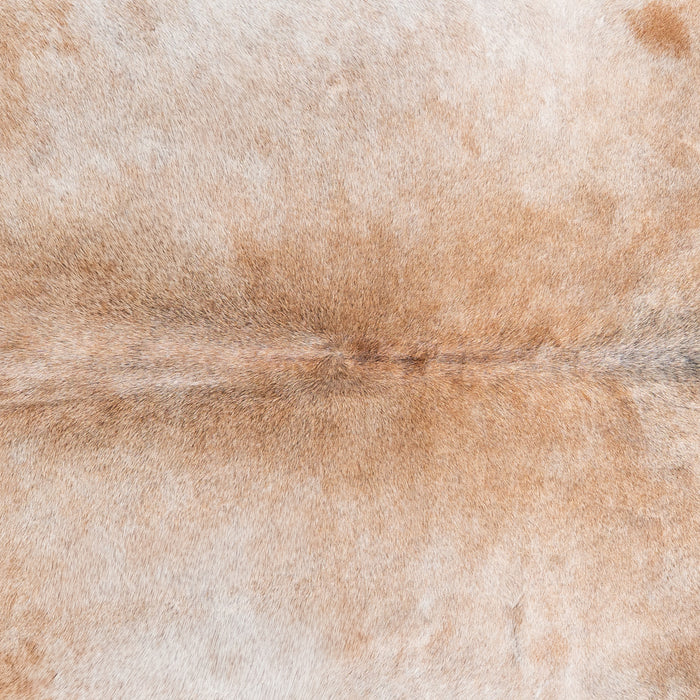 Brazilian Grey Palomino Cowhide Rug Size 7'0" L x 6'9" W 5127