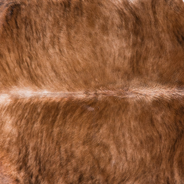 Brazilian Brindle White Belly Cowhide Rug Size 7'7" L x 7'6" W 4531