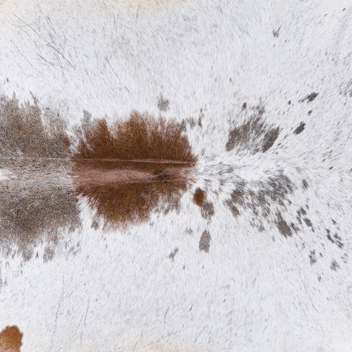 Brazilian Brown and White Cowhide Rug Size 7'6" L x 7'3" W 4532