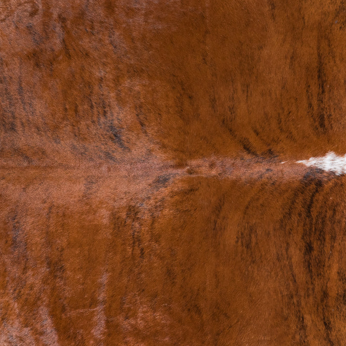 Brazilian Brindle White Belly Cowhide Rug Size 7'5" L x 6'10" W 4543