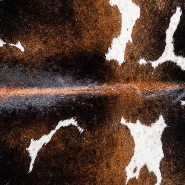 Brazilian Chocolate and White Cowhide Rug Size 6'6" L x 5'8" W 5148