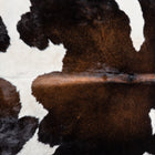 files/DSC00116-1.jpg