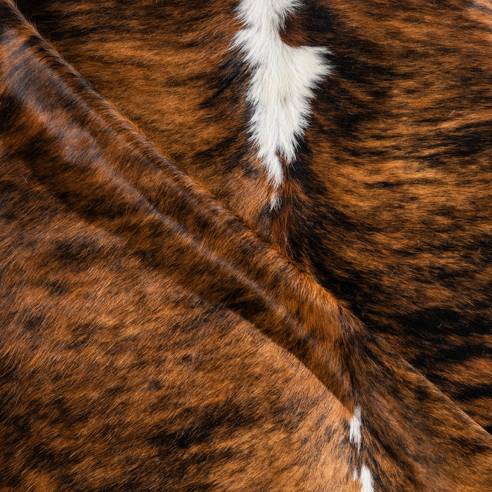 Brindle White Belly and Backbone Cowhide Rug Size 8'5" L x 7'7" W 5031