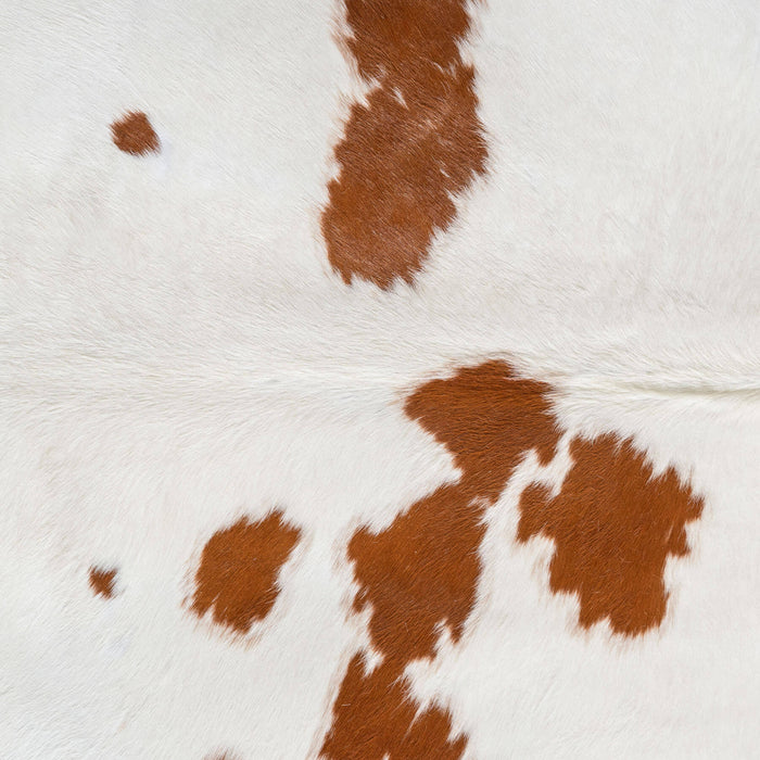 Brown and White Cowhide Rug Size 8'3" L x 7'4" W 6431