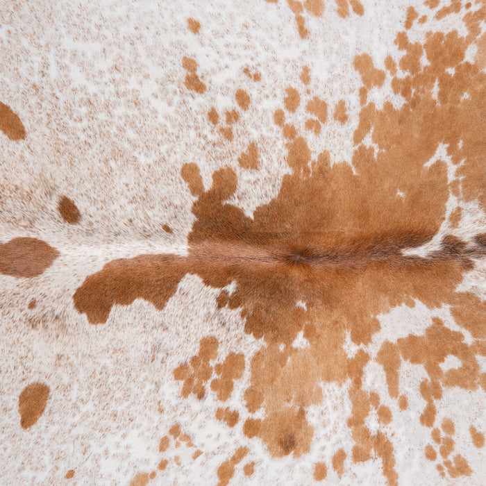 Brazilian Palomino and White Cowhide Rug Size 6'0" L x 6'2" W 3444