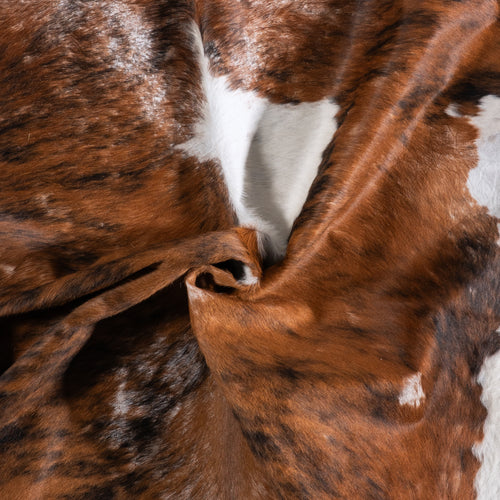 Vintage Tricolor Brindle Mix Cowhide Rug Size 7'6" L x 5'8" W 5569