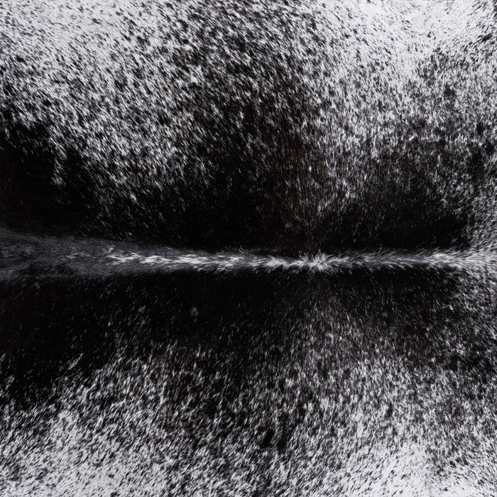 Brazilian Black Salt and Pepper Cowhide Rug Size 7'8" L x 6'4" W 6076