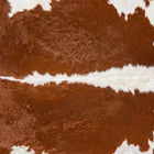 files/DSC00167-1.jpg