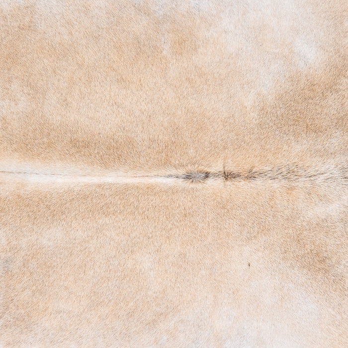 Brazilian Grey Palomino Cowhide Rug Size 7'2" L x 7'2" W 4900