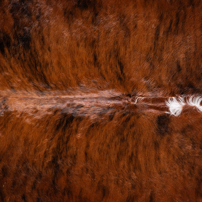 Brazilian Brindle White Belly Cowhide Rug Size 7'6" L x 6'0" W 5699