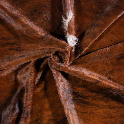 Brazilian Brindle White Belly Cowhide Rug Size 7'6" L x 6'0" W 5699