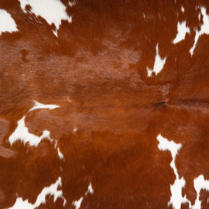 Brown and White Cowhide Rug Size 7'5" L x 6'4" W 6449