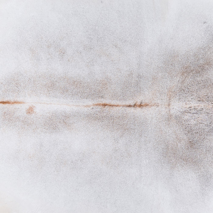 Brazilian Grey Palomino Cowhide Rug Size 7'6" L x 6'5" W 4593