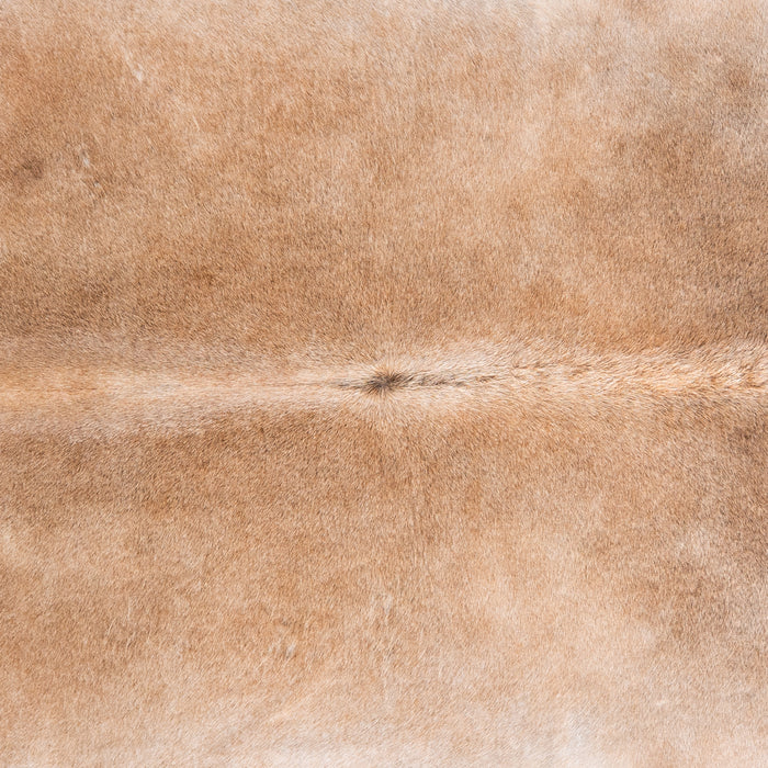 Brazilian Grey Palomino Cowhide Rug Size 7'4" L x 7'2" W 4913