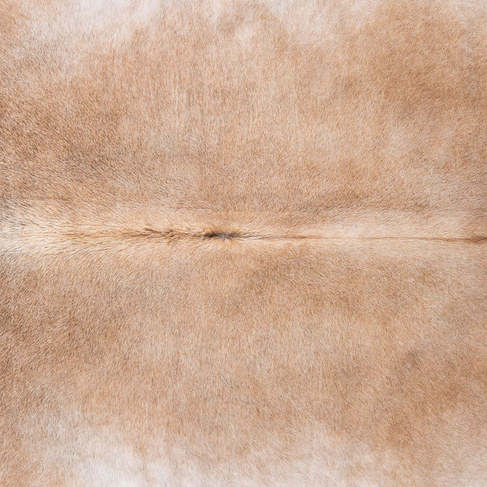 Brazilian Grey Palomino Cowhide Rug Size 7'10" L x 6'11" W 4917