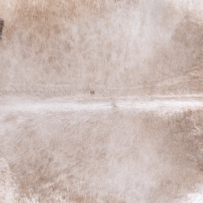 Brazilian Grey Palomino Cowhide Rug Size 7'6" L x 5'8" W 5915