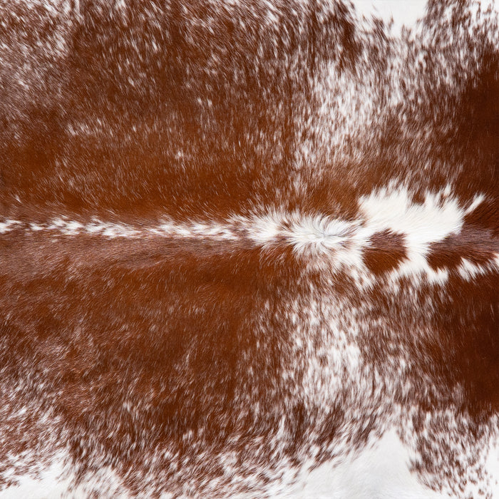 Brazilian Brown Salt and Pepper Cowhide Rug Size 8'0" L x 7'1" W 5717