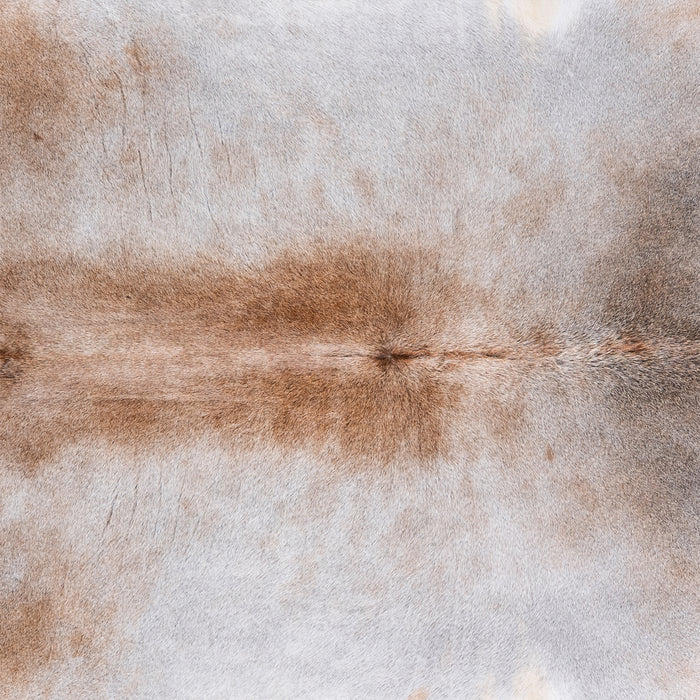 Brazilian Grey Palomino Cowhide Rug Size 7'11" L x 7'3" W 4921